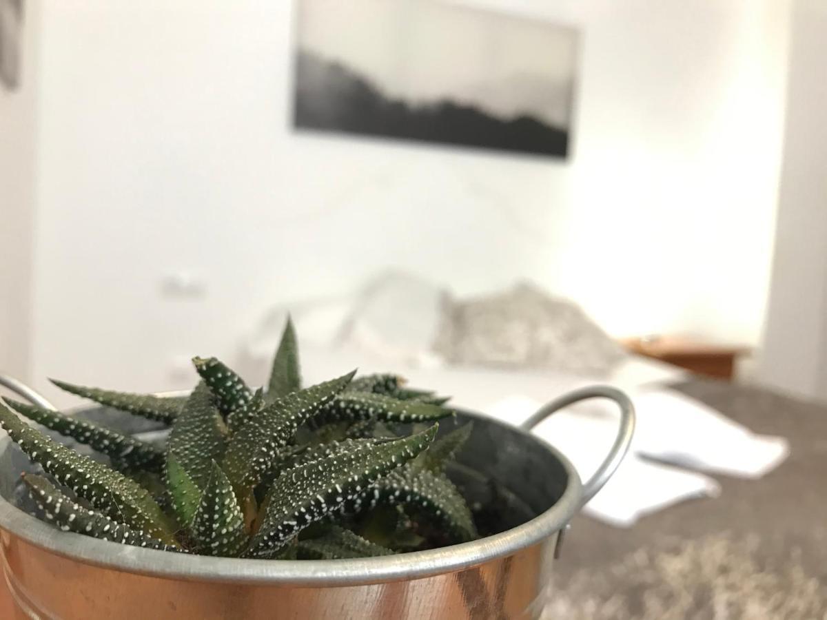 Apartamentos Arha Potes Dış mekan fotoğraf